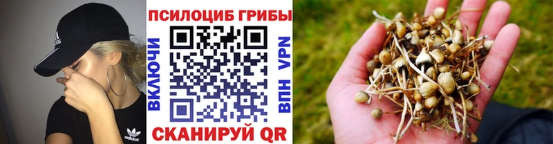 Галлюциногенные грибы мухоморы  Безенчук 